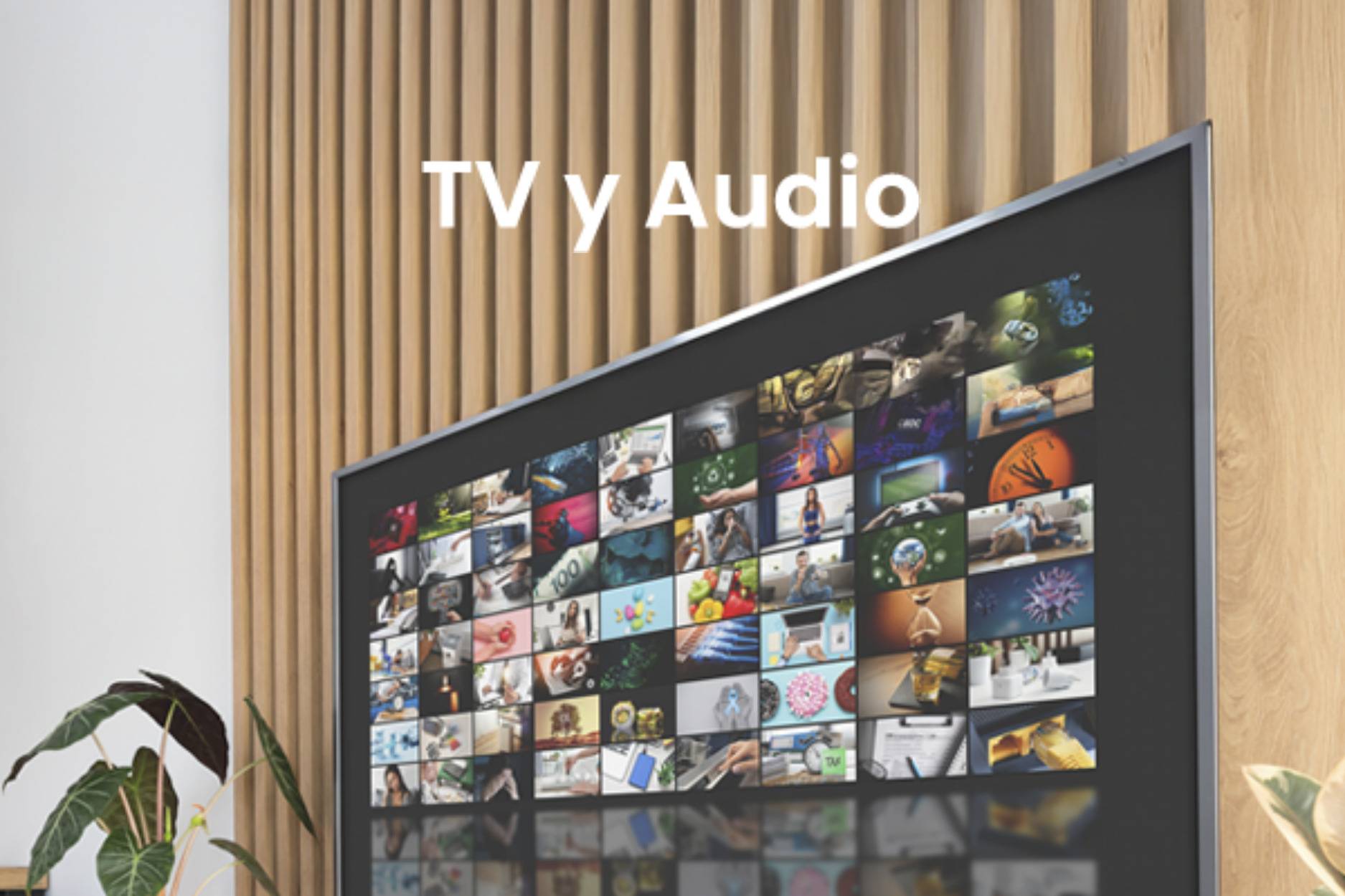 tv-y-audio